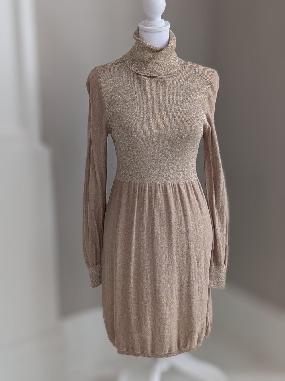 Soft Shimmery Turtleneck Long Sleeve Dress in Beige-Size Taille Unique/One Size